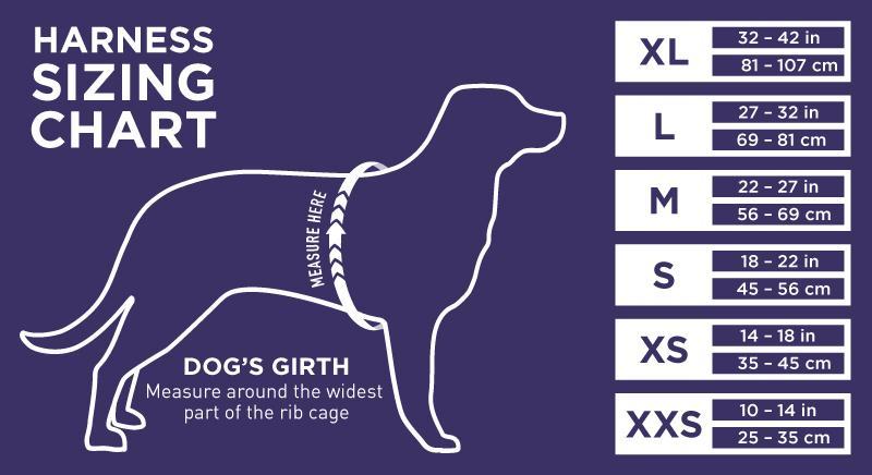 Harness sizing chart — measure rib cage circumference