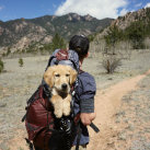 Robert M.'s service dog